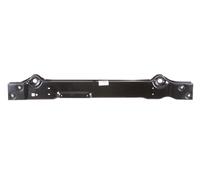 Parrilla Delantera BLIC Para FORD TRANSIT / TOURNEO CONNECT II