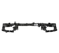 Parrilla Delantera BLIC Para FORD TRANSIT / TOURNEO CONNECT II