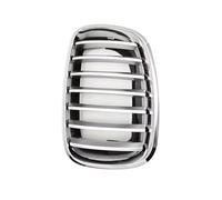 Parrilla Delantera Parrilla Delantera Radiador Para X5 E70 3.0d 3.0si 3.5d 4.8i M Para X6 E71 3.0dx 3.5dx 4.0ix 51137185223 51137185224 Rejilla Radiador(Left)