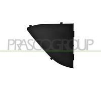PARRILLA DERECHA PARACHOQUES DELANTERO-INTERIOR-NEGRO-ENGOFRADO BMW - 1 SERIE...