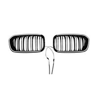 Parrilla Frontal Para Serie 1 F20 F21 2015 2016 2017 2018 2019 Parachoques Delantero Doble Línea Lámpara Luz LED Parrillas Carreras Rejilla Rejilla Parachoques Delante