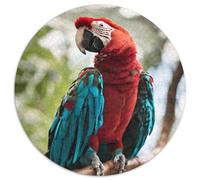 Parrot 1.000 Piezas Puzzle Adultos para Aliviar El Estrés Aves Juegos De Puzzle Juguetes Creativos contra El Estrés Regalos Familiares (67.5x67.5cm)