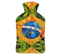 Parrot Art - Botella de agua de goma con diseño de bandera de Brasil con cubierta de felpa suave, bolsa de agua caliente para invierno, manos y pies, protección contra el frío, 1000 ml