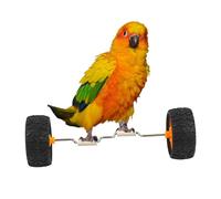 Parrot Balance Toy - Interactive Birds Training for Fun Intelligence Enrichment, Cockatiel-Friendly Design with Balance Vehicle, Bird Toys for Home Pet Store Tabletop Glass 5.51x1.77x1.77 Inches