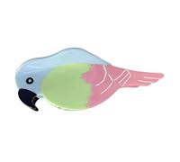 Parrot Claw Clip - Birds Shape Hair Acetate Jaw Clip | 4.53x1.77 Inches Acrylic Colorful Parrot Shaped Cellulose Acetate Hair Clips For Adults, Girls, Women, All Ages
