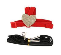Parrot Harness Leash | Adjustable Cartoon Bird Harness for Secure Flight | Flexible Bird Leash for Parakeets/Cockatiels/Conures | Rubber Handle, 2.2 Yards (M)