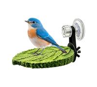 Parrot Perch Holder - Suction Cup Bird Stand with Tray | 13.5×9.5 Cm, Movable Resting Spot For Parakeets, Cockatiels, Parrots, Lovebirds, Canaries & Finches