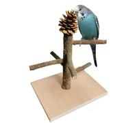 Parrot Playground, Natural Wood Perch, Tabletop Bird Play Stand, Training Plaything Stand, Interactive Cage Toy for Cockatiels, Lovebirds, Parakeets, and Small Birds