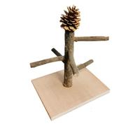 Parrot Playground Stand, Tabletop Parrot Perch, Bird Playstand Training, Parrot Perch Stand, Bird Cage Toys, Cockatiel Playstand 22x20x20cm/8.66x7.87x7.87 Inches for Training and Exercise