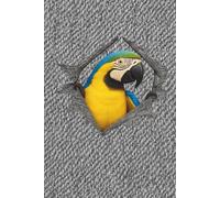 Parrot Sketchbook 6 x 9: Stylish Denim Design Sketchbook with a Colorful Parrot | Blank Pages with Frame for Drawing, Doodling, and Creative Ideas