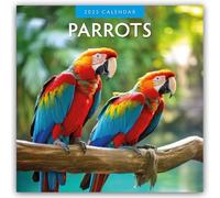 Parrots 2025 Square Wall Calendar