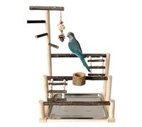Parrots Playstand - Percha para parque infantil para pájaros, soporte interactivo para jaula de periquitos, gimnasio de juego para loros, accesorios respetuosos con el medio ambiente, juego de