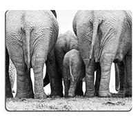 Parte Posterior de un Juego de Goma Natural de la Parte Trasera de una Manada de Elefantes Juntos en Blanco y Negro Addo Elephant Park South Africa (Mouse Pad/Gaming Mouse Pad)