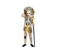Partilandia Disfraz de Faraón para Niño, Costumes Premium Dorado, Egipcio Infantil, Momia para Carnaval Halloween Fiesta Cosplay (5-6 Años)