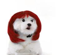 Partslety Peluca de perro para mascotas, divertida decoración de cosplay rizada con bandas elásticas ajustables para Halloween, Navidad, fiestas, festivales, color rojo