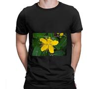 Party Motion Travel t Shirt 3XL