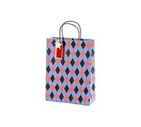 PartyDeco Bolsa de regalo para día de papel, con tarjeta, gran bolsa de papel, papel para envolver regalos, género, reveal, fiesta, paquete de regalo