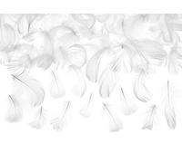 PartyDeco Plumas decorativas de color blanco, 3 g, para bodas, bautizos, cumpleaños, comuniones, fiestas, reuniones familiares, plumas