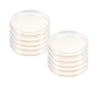 PartyKindom 10 Placas de Petri de Agar Precargadas para Laboratorio, Fáciles de Usar, Resistentes E Ideales para Pruebas Científicas y Almacenamiento de Cultivos