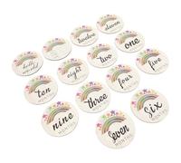 PartyKindom Tarjetas Mensuales para Bebés de Madera 14 Piezas, Círculos Decorativos Naturales para Recién Nacidos, Kit Recuerdo para Fotografía y Obsequio de Primer Año