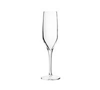 Pasabahce Paquete De 6 Copas Flute Napa De Vidrio Transparente Cl 20