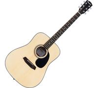 Pasadena PD-100 Natural Guitarra acústica