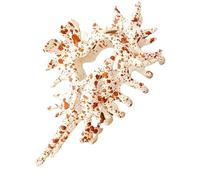 Pasadores en Coquillage pour Cheveux | Accessoire De Coiffure Anti-Dérapant | Pince À Cheveux Décorative Pour Femmes, Soirée, Plage, Mariage, Fête