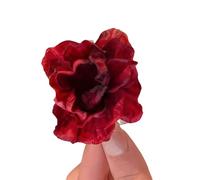Pasadores florales para el pelo, horquillas de flores dulces, horquillas para el pelo de princesas para mujeres y niñas