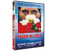 Pasaje al Cielo (Ticket to Heaven) 1981 [DVD]