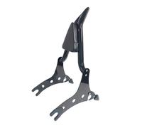 Pasajero Trasero Asidero respaldo Respaldo de barra Sissy para motocicleta con portaequipajes apto para Indian Chieftain Pursuit Roadmaster 2014-2025 Respaldo trasero(Gloss Black)