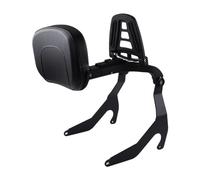 Pasajero Trasero Respaldo multiusos para motocicleta BMW R18 R18B 2021-2025, respaldo para conductor y pasajero, Sissy Bar con portaequipajes Respaldo del pasajero extraíble(Black)
