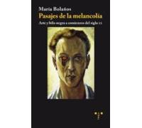 Pasajes De La Melancolia: Arte Y Bilis Negra A Comienzos Del Sigl O Xx