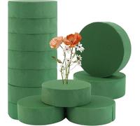 Pasbuteiy 12 Piezas de Espuma Floral, Bloques de Espuma Verde, floristería húmeda y Seca, Bloques Decorativos de Flores Verdes húmedas y secas para el hogar, Boda