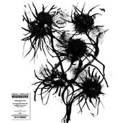 Pascal Comelade Improperis: Compositions Et Enregistre (Vinyl) (Importación USA)