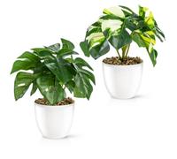 PASCH® Juego de 2 plantas artificiales como de verdad (18 cm) en macetas de cerámica de alto brillo | Plantas artificiales en maceta | Plantas artificiales en maceta | Flor artificial Planta falsa