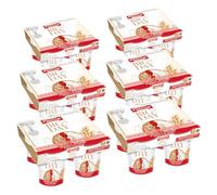Pascual - Yogur BIG DAY con fresas y cereales. Caja de 6 Pack de 4 x 120g. Total 24 uds. - No necesitan Refrigeración