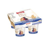 Pascual - Yogur BIG DAY con frtos del bosque y cereales. Caja de 6 Pack de 4 x 125g. Total 24 uds.