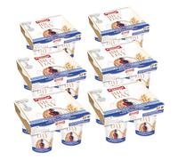 Pascual - Yogur BIG DAY con frutos del bosque y cereales. Caja de 6 Pack de 4 x 120g. Total 24 uds. - No necesitan Refrigeración