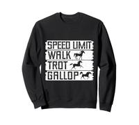 Paseo A Caballo, Trote, Galope, Jinete Sudadera