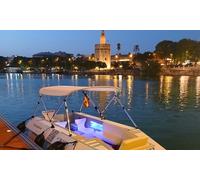 Paseo histórico en hydronave por el Guadalquivir para 2 personas