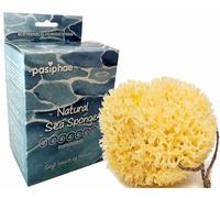 Pasiphae Esponja de baño natural de Grecia - Esponja de nido de India - Esponja de ducha exfoliante orgánica suave y respetuosa con el medio ambiente para hombres y mujeres (tamaño M, 1 unidad)