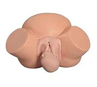 PASPRT Simulador de Entrenamiento de partería Demostración de Parto Modelo de feto pélvico Femenino Posición fetal Normal anormal Maniquí de Parto Modelo de enseñanza