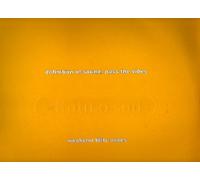 Pass The Vibes - Definition Of Sound 12"