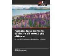 Passare dalle politiche sanitarie all'attuazione efficace: Un caso di HIV/attuazione delle politiche in Malawi