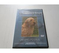 Passion du chien ( le basset fauve de Bretagne )