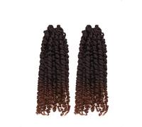 Passion Twist - Pelo de ganchillo para mujeres negras, 2 paquetes de 25,4 cm, pelo corto pretrenzado de ganchillo pretrenzado, extensiones de cabello sintético para trenzar (T1B/30)