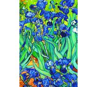 PASSWORD BOOK Vincent Van Gogh Irises: A-Z Alphabetical Tabs, Keep Track of Usernames, Passwords, Web Addresses, Internet Password Organizer, Logbook, 6 x 9 inches
