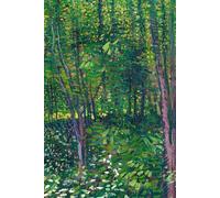 PASSWORD BOOK Vincent Van Gogh Trees and Undergrowth: A-Z Alphabetical Tabs, Keep Track of Usernames, Passwords, Web Addresses, Internet Password Organizer, Logbook, 6 x 9 inches