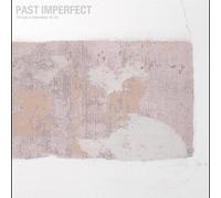 TINDERSTICKS - PAST IMPERFECT, THE BEST OF TINDERSTICKS 92 - 21 [Vinilo]