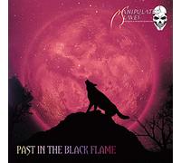 PAST IN THE BLACK FLAME (パスト・イン・ザ・ブラック・フレイム)